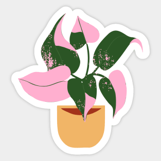 Philodendron Pink Princess Plant Sticker